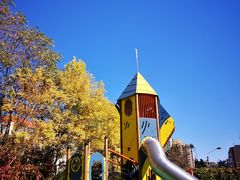 -卓悦童国际幼儿园