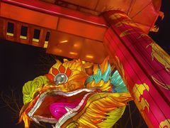 -武汉园博园(武汉自然博物馆)