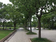 -新江湾城公园