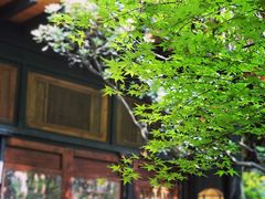 -鱼桥巷·美学川菜