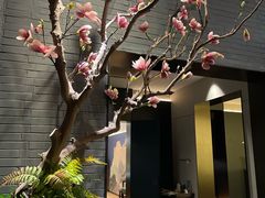 -宋宴(虎跑店)