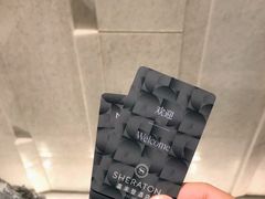 -广州奥园喜来登酒店