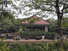 -森波拉火山温泉