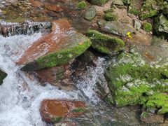 -本溪汤沟绿石谷森林公园