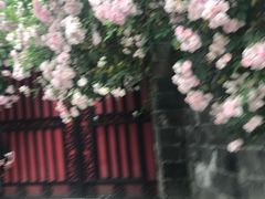 -水磨古镇