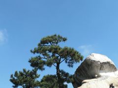 -南通洲际绿博园