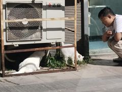 -沐沐家宠物(成寿寺店)