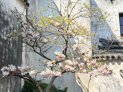 -耦园