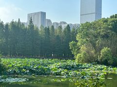 -艾溪湖湿地公园