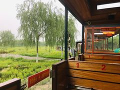 -西青郊野公园