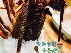 -神洲四海大酒楼(王府井澳门中心店)
