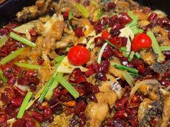 -老板恋上鱼(恒隆广场店)