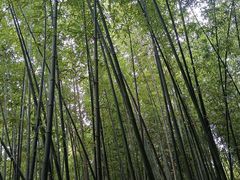 -河南省黄河迎宾馆