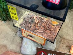 -松江科技馆