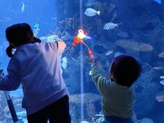 -多彩贵州城极地海洋世界