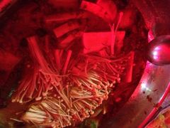 南油重庆火锅乌江鱼庄-重庆火锅水库鱼庄(南油店)