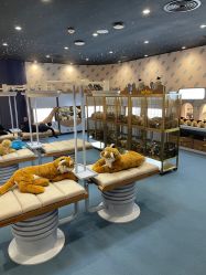 -奈尔宝·儿童乐园·亲子餐厅(鄞州万达店)