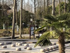 -合肥滨湖国家森林公园