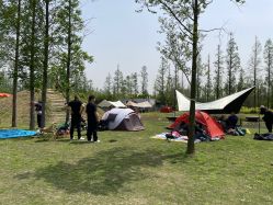-前小桔亲子创意农场·草莓采摘·露营烧烤