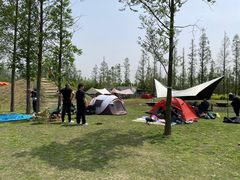 -前小桔亲子创意农场·草莓采摘·露营烧烤