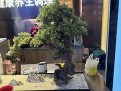 -陆琴脚艺·足浴·SPA(夫子庙店)
