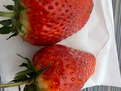 -振华商厦(宁海大街店)