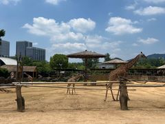 -杭州野生动物世界
