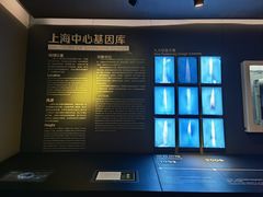 -上海之巅观光厅