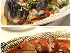 -北京新世纪饭店(动物园地铁站店)