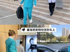 -pd派德宠物中心医院24H急重症·眼科中心·血液透析中心(嵩山北路店)