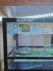 -卡通尼·Safari非洲探索乐园·生日会(金桥国际商业广场店)