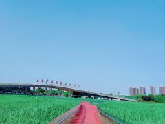-西安浐灞国家湿地公园