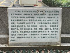 -马王堆汉墓遗址