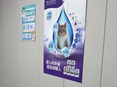 -半岛宠物医院24小时(科华中路店)