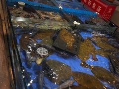 -山东八大碗山东老字号