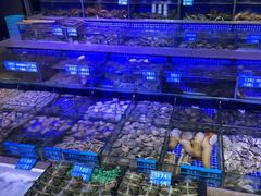 -青蓬蒸汽海鲜·深圳老字号·团建聚会(壹方城店)
