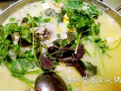 青椒紫苏鱼头锅-佬湘楼(越秀城市广场店)