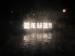 -常州环球恐龙城维景国际大酒店
