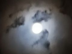 -奔驰上海利星(七宝店)