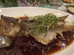 清蒸鲈鱼-北京全聚德(西客站店)