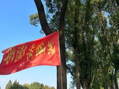 -洪湖生态旅游区