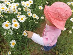 -永定河休闲森林公园