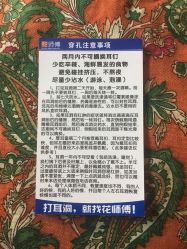 -花师傅