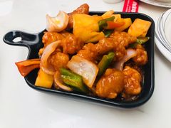 -翩翩黑凤梨