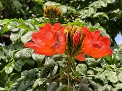 -白沙门生态公园