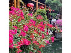 餐具摆设-猪肉婆私房菜(容桂总店)