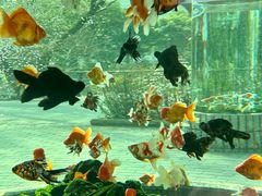 -上海动物园(地铁站)