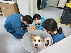 -联合动物医院(光谷诊疗中心)