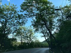 -丁香湖公园
