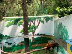 -西霞口神雕山野生动物世界